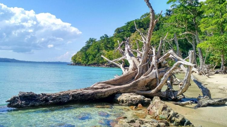 OTA Prime – Luxury Isles of Andaman